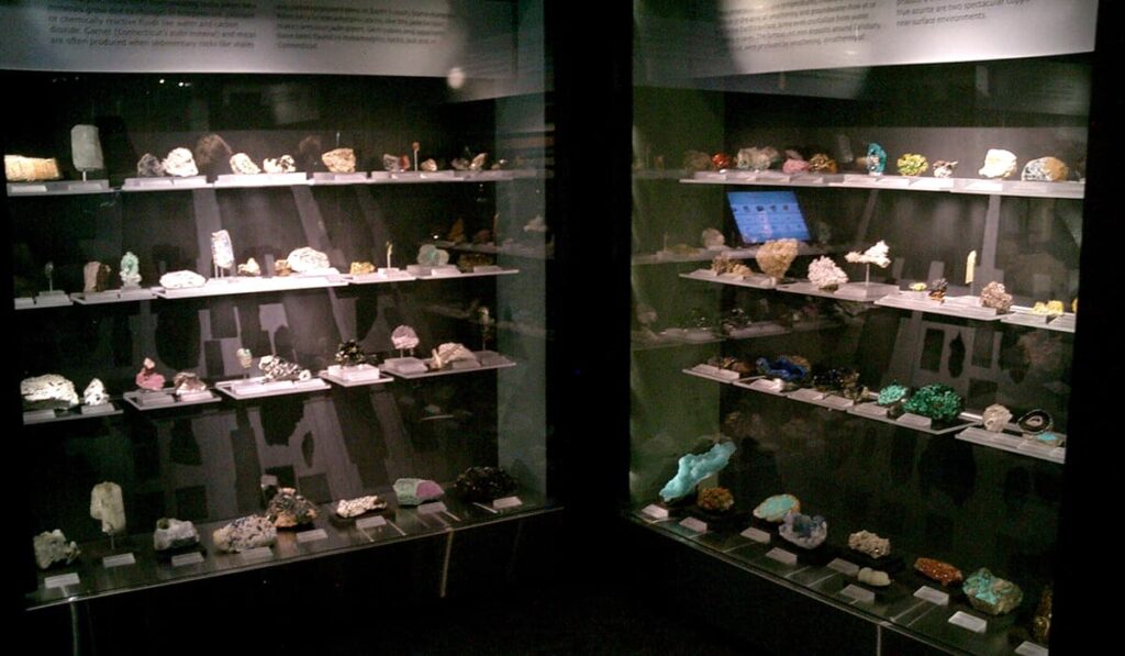 イェール大学 自然史博物館